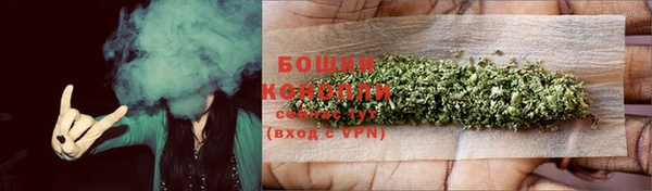 соль ск Горнозаводск