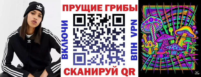 Псилоцибиновые грибы Psilocybe  хочу   Железногорск-Илимский 