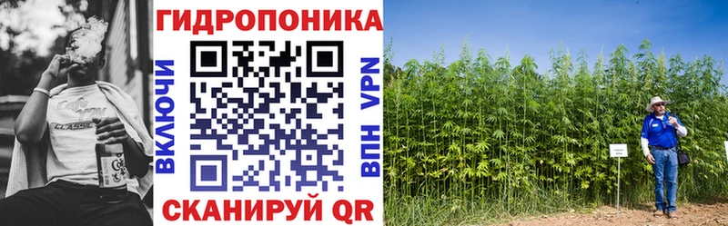 Бошки марихуана Bruce Banner наркотики Железногорск-Илимский